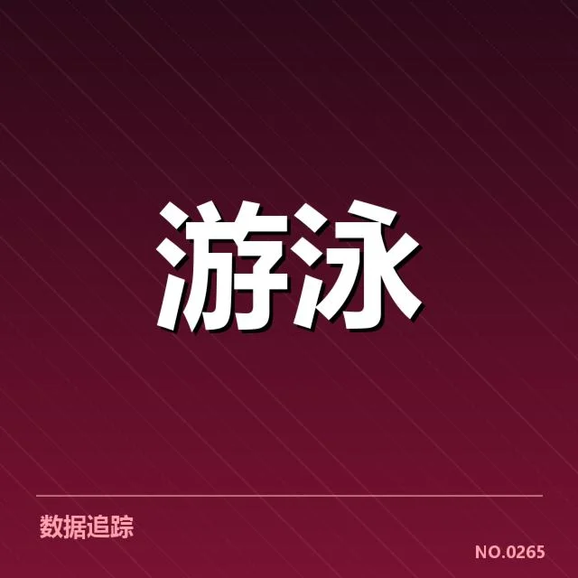 全国冠军赛成绩盘点：冠军变迁背后，竞争格局与未来走向